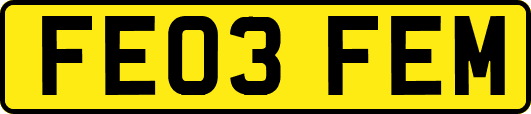 FE03FEM
