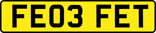 FE03FET