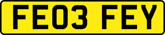 FE03FEY