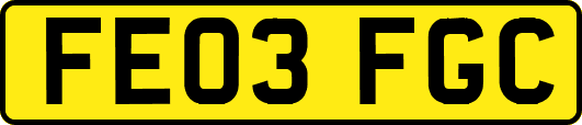 FE03FGC