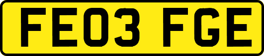 FE03FGE
