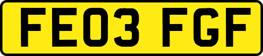 FE03FGF