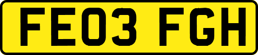 FE03FGH