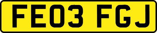 FE03FGJ
