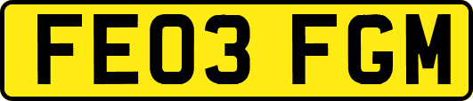 FE03FGM