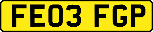 FE03FGP