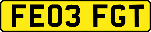 FE03FGT