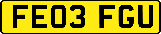 FE03FGU