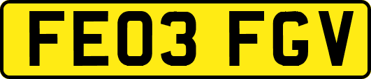 FE03FGV
