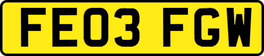 FE03FGW