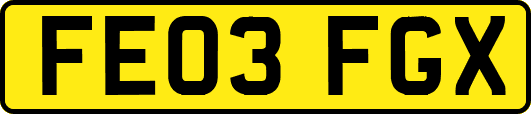 FE03FGX