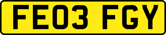 FE03FGY