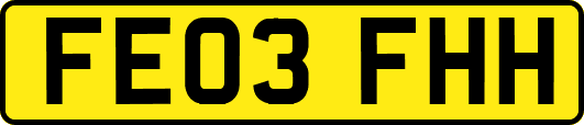 FE03FHH