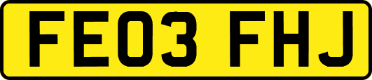 FE03FHJ