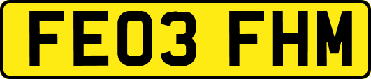FE03FHM