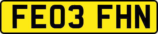 FE03FHN
