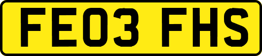 FE03FHS