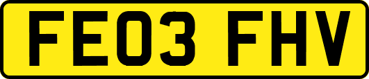 FE03FHV