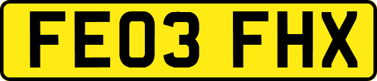 FE03FHX