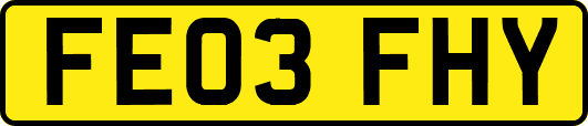 FE03FHY