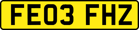FE03FHZ