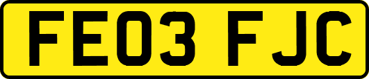 FE03FJC
