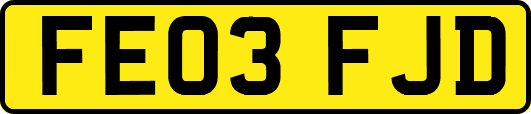 FE03FJD