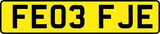 FE03FJE