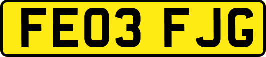 FE03FJG