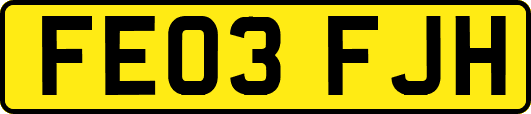 FE03FJH