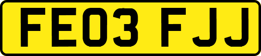 FE03FJJ