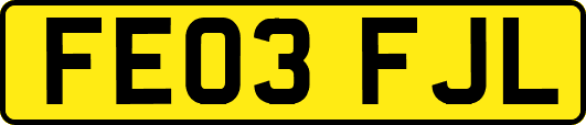 FE03FJL