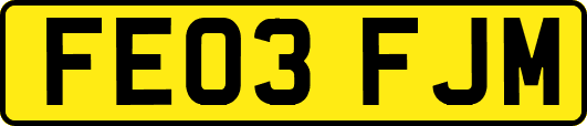 FE03FJM