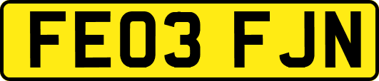 FE03FJN
