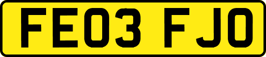 FE03FJO
