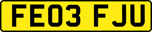 FE03FJU