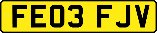 FE03FJV