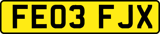 FE03FJX