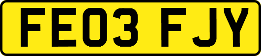 FE03FJY