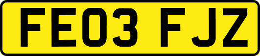 FE03FJZ