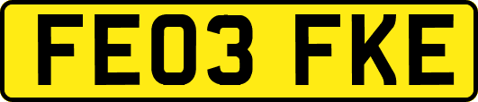 FE03FKE