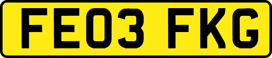 FE03FKG