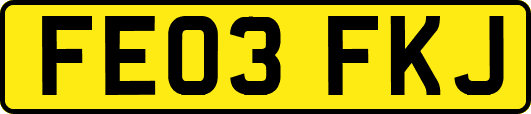 FE03FKJ