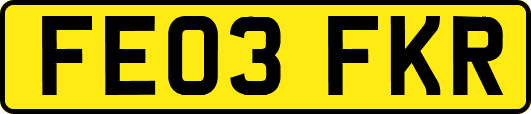 FE03FKR