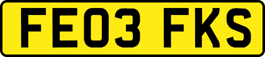FE03FKS