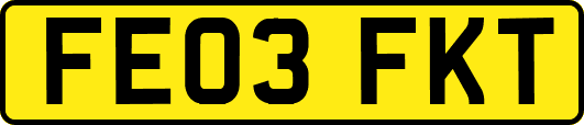 FE03FKT