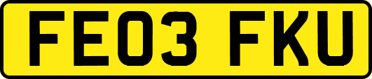 FE03FKU
