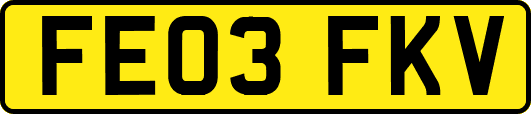 FE03FKV