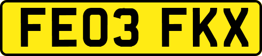 FE03FKX