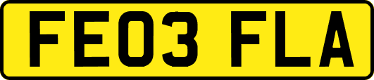FE03FLA